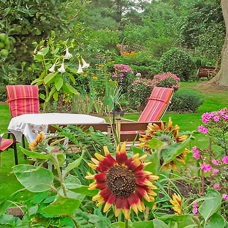 Awesome In Daire Muhl Rosin